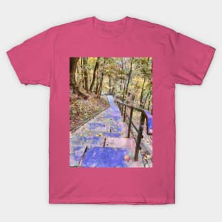 A path through the autumn forest T-Shirt